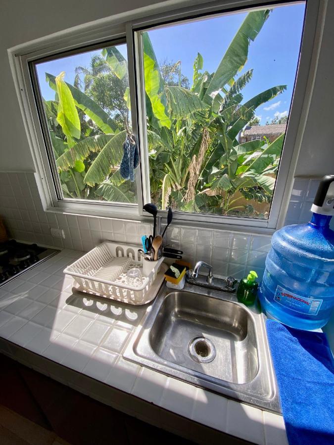 Kite House Cabarete Across Kite Beach Apartment Exterior photo