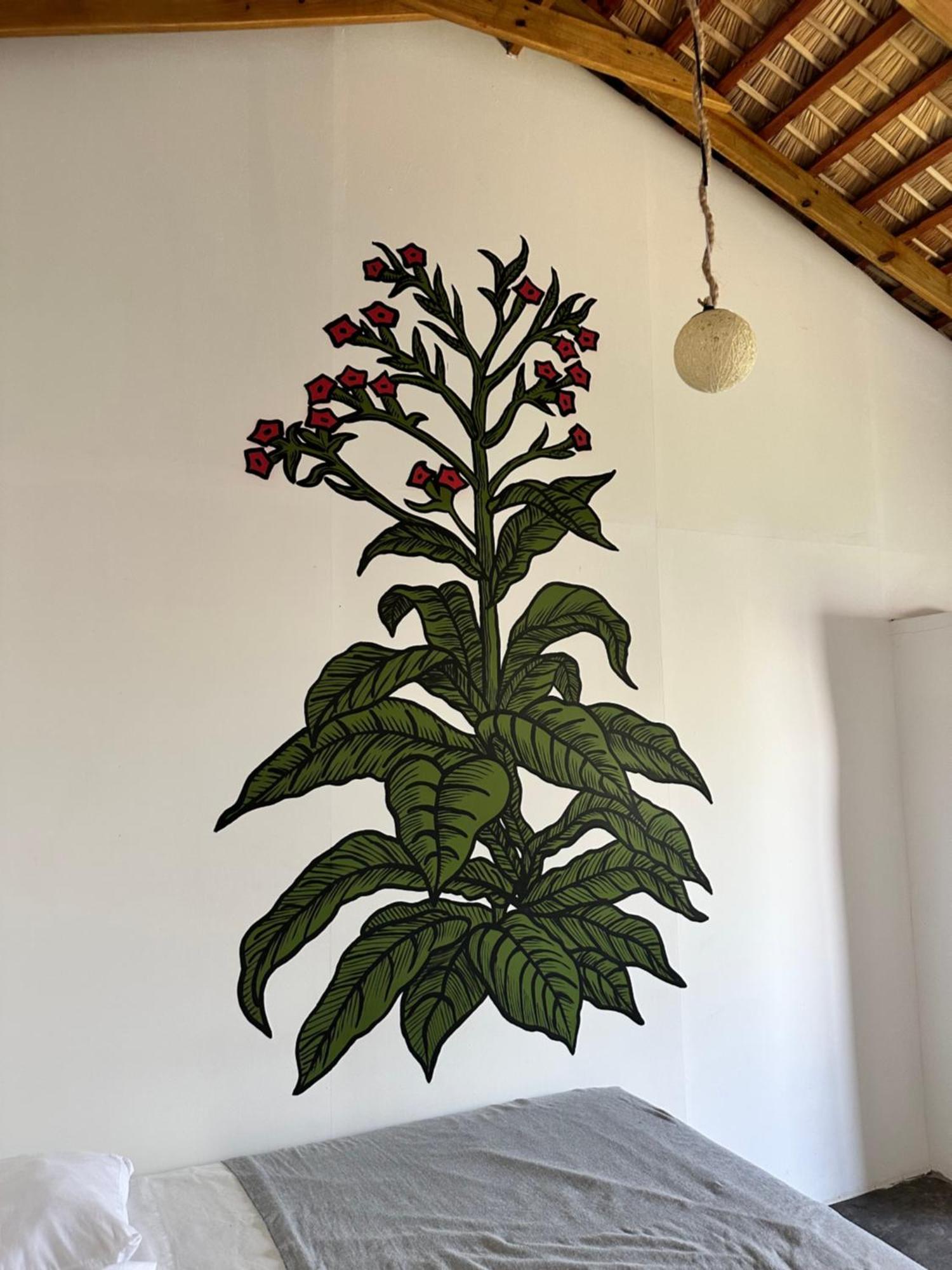 Kite House Cabarete Across Kite Beach Exterior photo