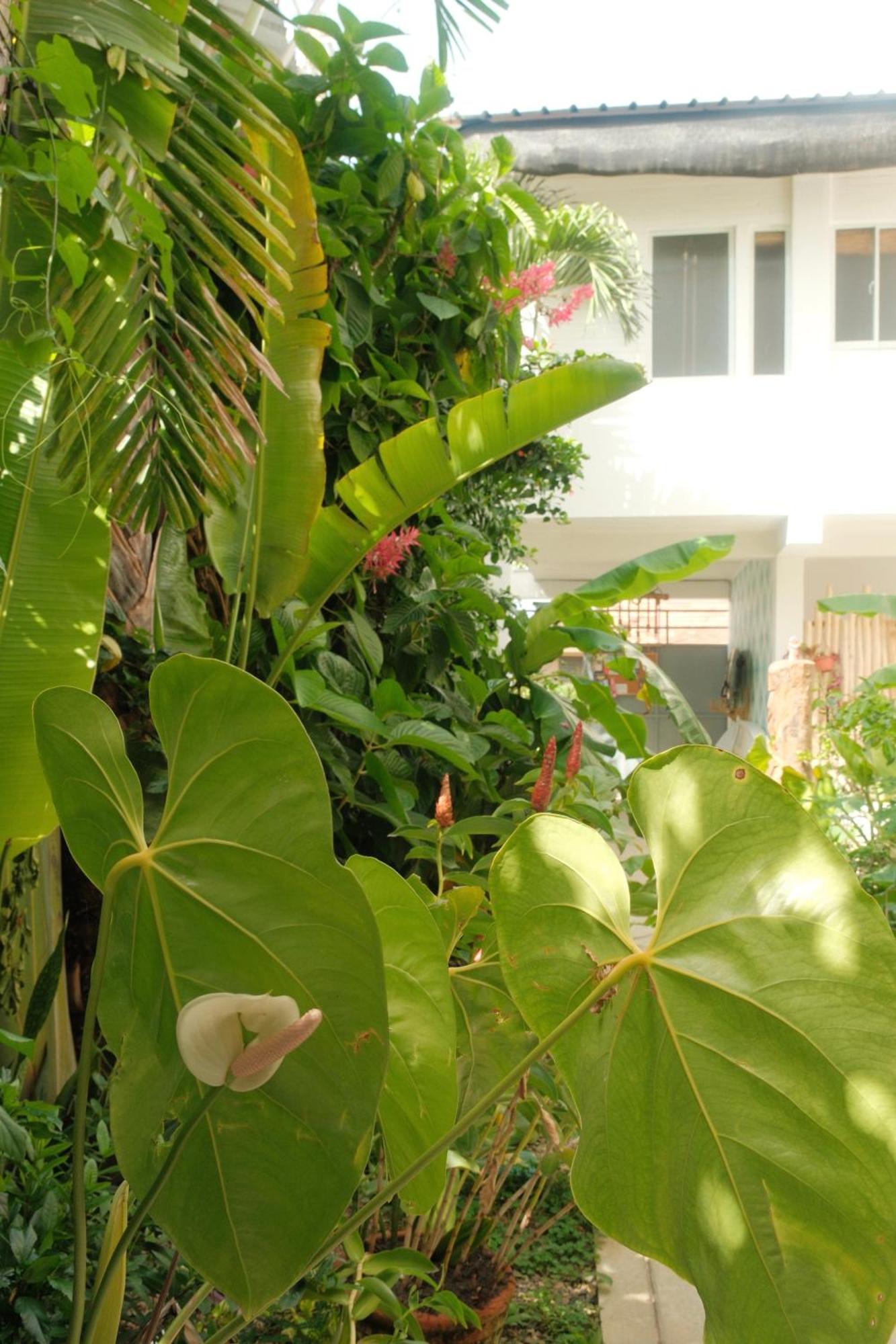 Kite House Cabarete Across Kite Beach Exterior photo