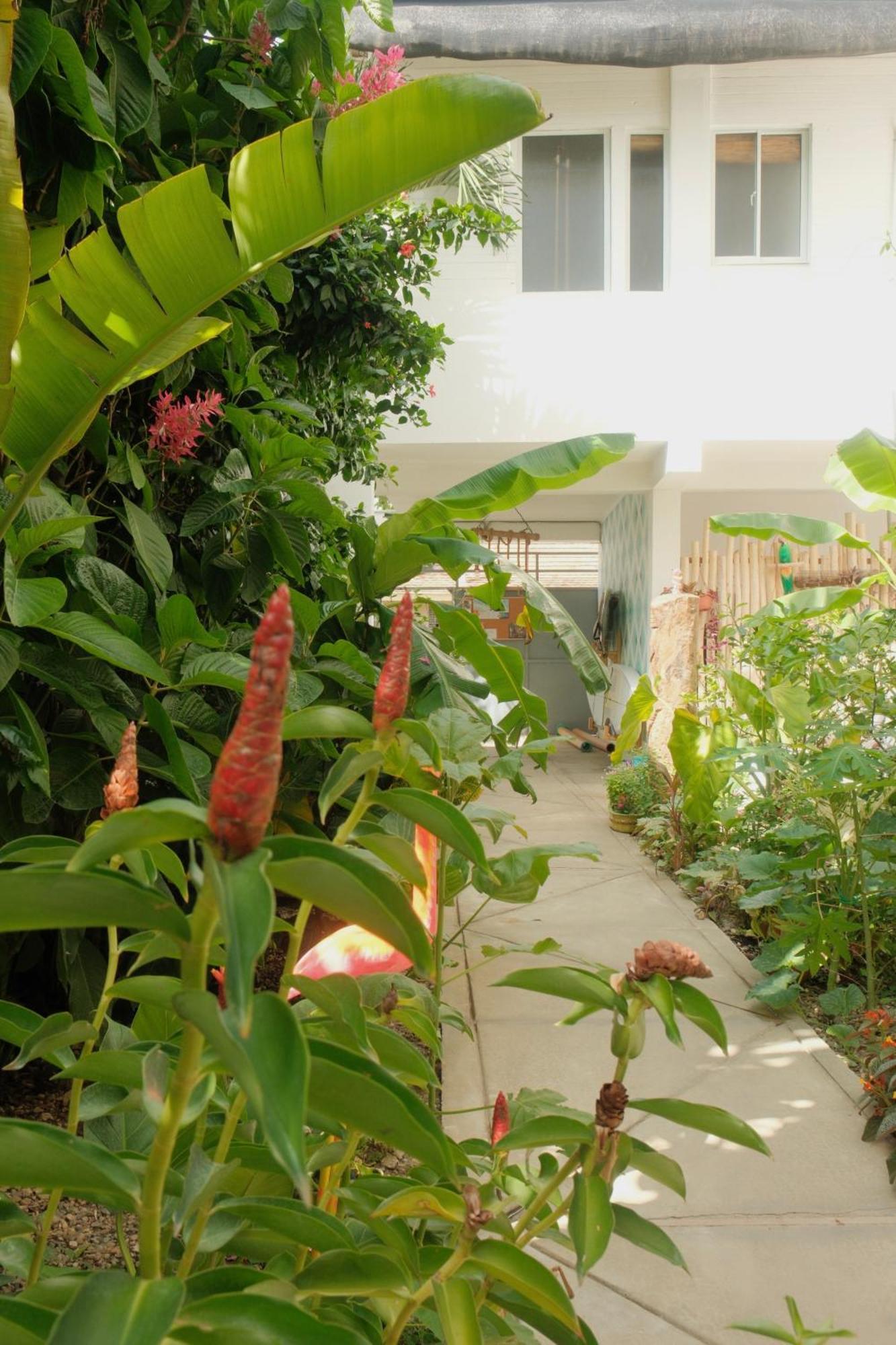 Kite House Cabarete Across Kite Beach Exterior photo